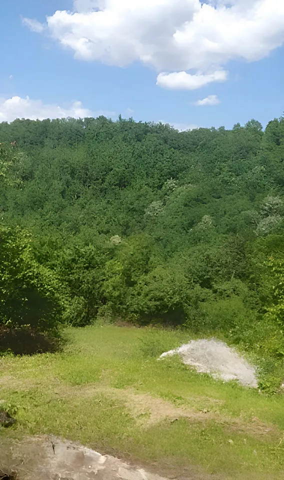 Erschlossenes Baugrundstück für Premium-Projekte | Kolašin